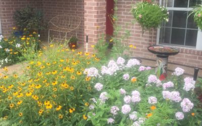 Perennials, Flowers Forever