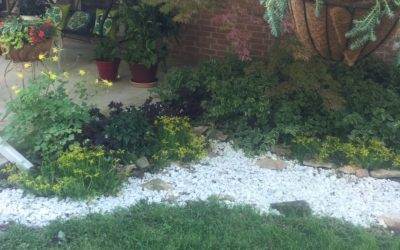 Dry Creek Bed