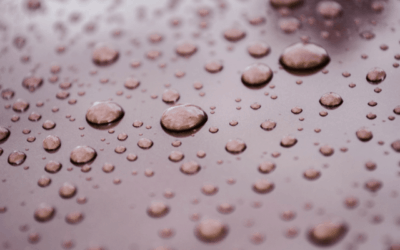Raindrops after​ a Drought