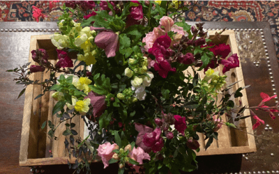 I Choose Snapdragons