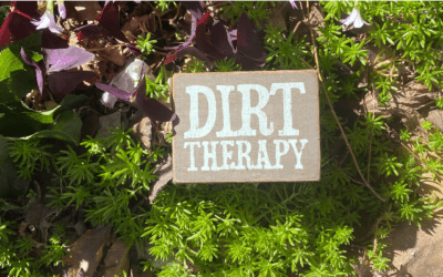 Transplanting Perennials