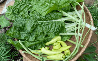 Let Your Garden do the Talking