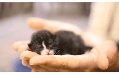 Move me to a New Place