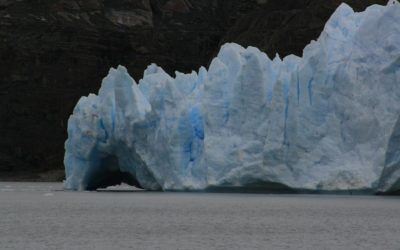 The Universal Language of Pain