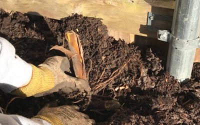 October Garden Maintenance