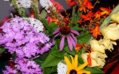 My Garden’s Unique Language