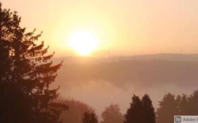 “View from my Window”