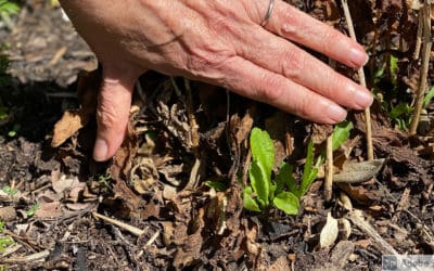 What Do I Do in March?