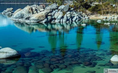 Check Out What’s Underneath!