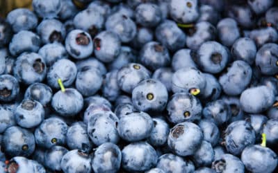 Blueberry Buckle Coffee Cake