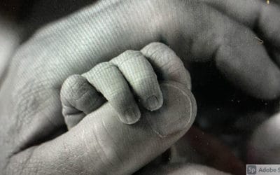 The In-between Moments