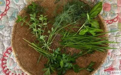 Basic Guidelines for Prepping Fresh Herbs