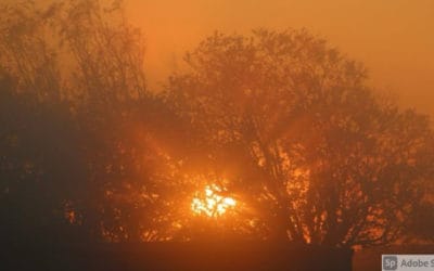 Who Wakes Up at 5:30?!?!