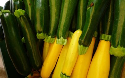 Zucchini and Fresh Basil Salad