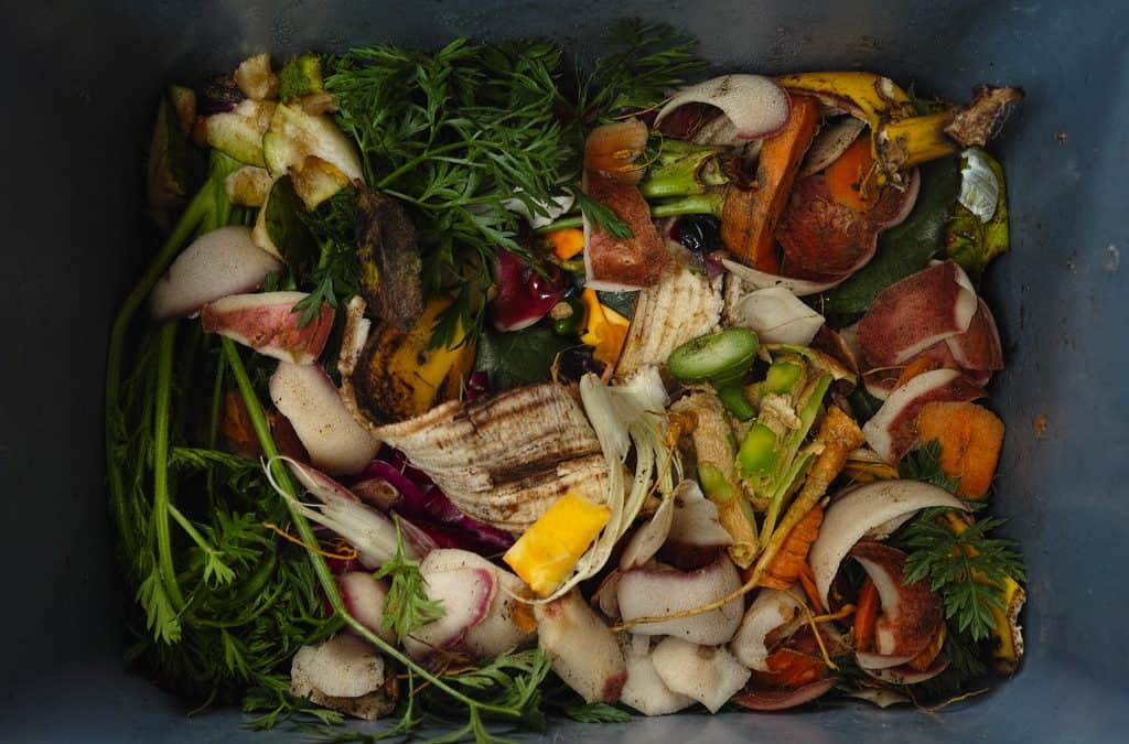 Revisit Composting