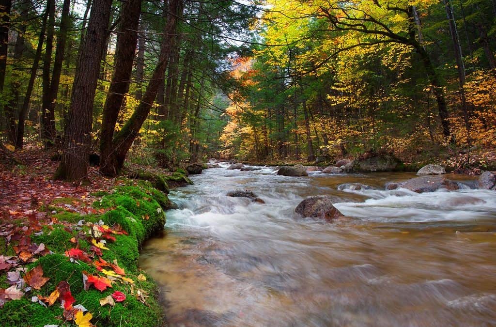 Peace Like a River