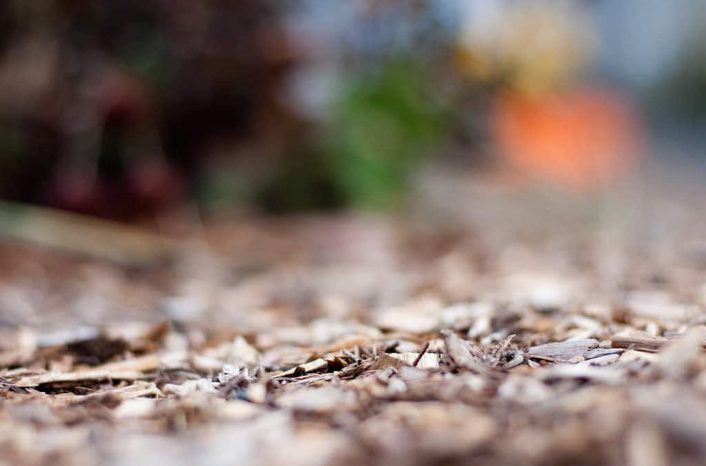 Mulch, a Pile of Winter Blankets and Homemade Quilts