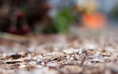Mulch, a Pile of Winter Blankets and Homemade Quilts