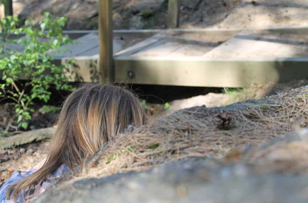 Hide and Seek