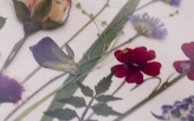 Webster’s Second Job