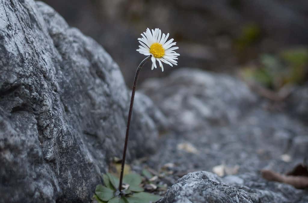 Do the Strong Need You?
