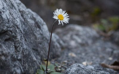 Do the Strong Need You?