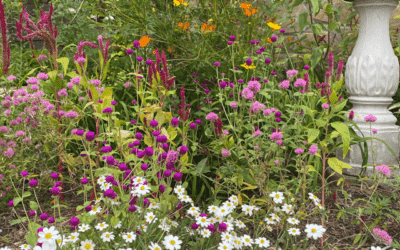 May Flower Bed To-Do List