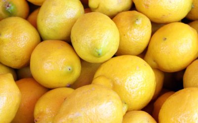 No Bake Lemon Divine