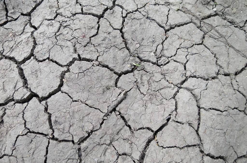 A Thirsty Land