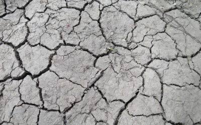 A Thirsty Land
