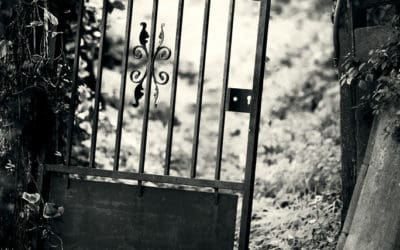 A Secret Garden