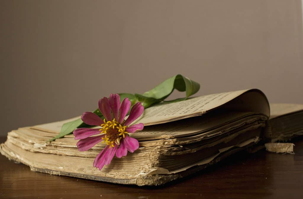 I Want To Be Like an Old Book