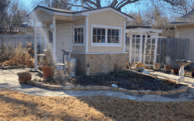 Winter Lawn Care