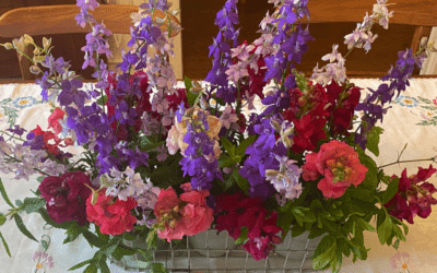 Bring me a Gift of Flowers