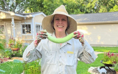 August Garden To-Do, Or Not To-Do List