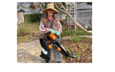 Shredded Leaves Are Your Best Mulch
