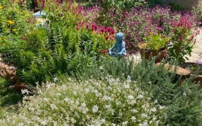 Central Texas Gardening in September