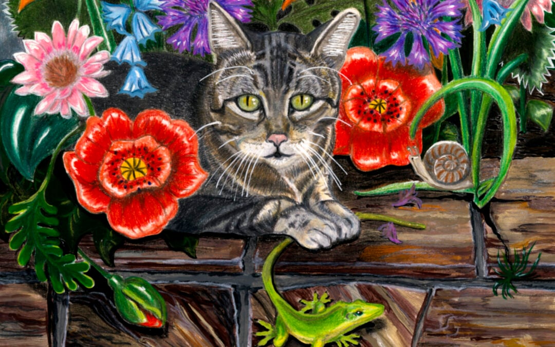 New Book Launch: Can I Belong to You