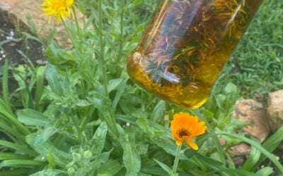 Magic Skin Tincture
